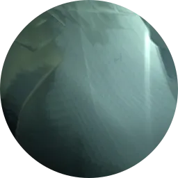 Avatar of Erikas