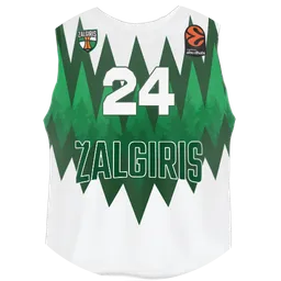 Avatar of Zalgiris numeris 1