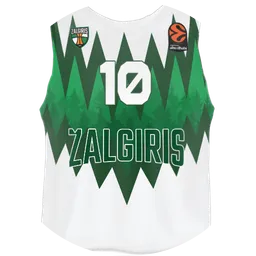 Avatar of Vaidotas Gečas 