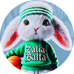 Avatar of Rasi plytą mesk į rytą