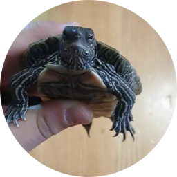 Avatar of IGNAS