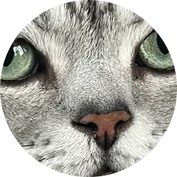 Avatar of Žalgirinis