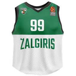 Avatar of Žalgiris visada