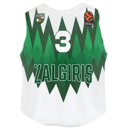 Avatar of ŽALGIRIS