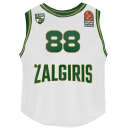 Avatar of  Žalgirio fanas 
