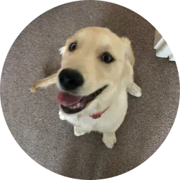 Avatar of JustasSiauliai
