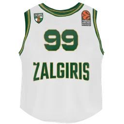 Avatar of Žalgirio boi