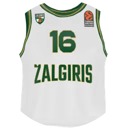 Avatar of Saulius