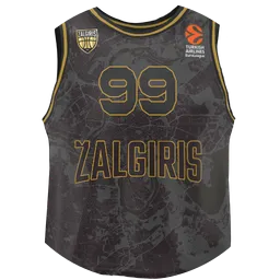Avatar of Vytis Zajankauskas